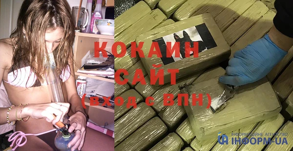 стаф Алексин