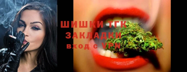 стаф Алексин