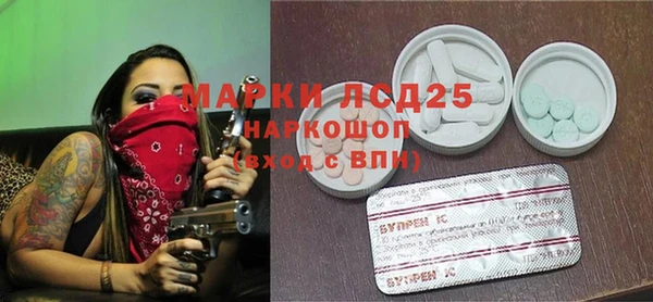 стаф Алексин