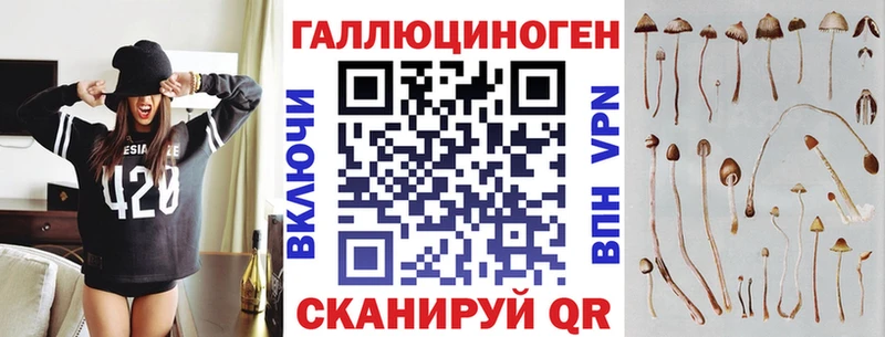Псилоцибиновые грибы прущие грибы  Тверь 